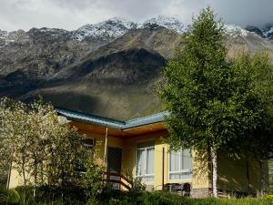 una casa amarilla con un árbol frente a una montaña en Mountain KAZBEGI Apartment, en Kazbegi