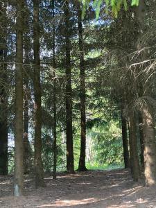 Landskap semula jadi dekat dengan chalet