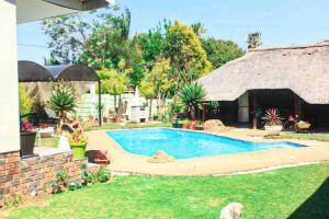 un cane seduto sull'erba vicino alla piscina di Elegant Poolside Retreat 2-Bed Luxury Guesthouse a Newcastle