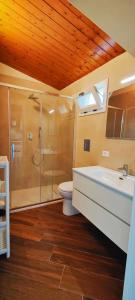 a bathroom with a shower and a toilet and a sink at SantOliva Apartments in Trabia