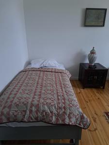 a bed with a quilt on it in a bedroom at Antike Wohnmöglichkeit kurz und Langfristig 100qm 1 Stock in Lauchhammer