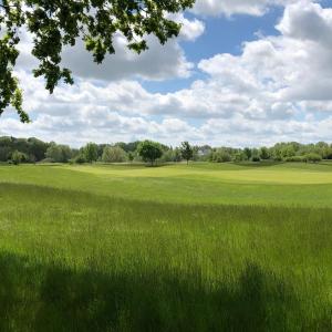 a field of green grass with trees in the background at Bungalow Guilietta in Göhren-Lebbin