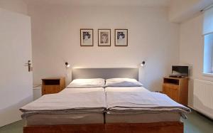 ein großes Bett in einem Schlafzimmer mit zwei Bildern an der Wand in der Unterkunft Penzion Marie in Město Albrechtice
