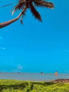 un palmier et l'océan avec des gens dans l'eau dans l'établissement Flexi Lodge, à Negombo