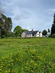 a white house in a field of flowers at The Pink House in Brecon