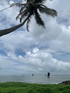 a palm tree and the ocean with boats in it at Flexi Lodge in Negombo