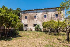 Κήπος έξω από το Villa Franca La Casina