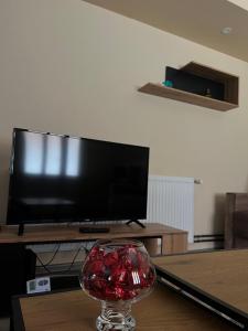 Mynd úr myndasafni af Apartman Rajsic a&a í Laćarak