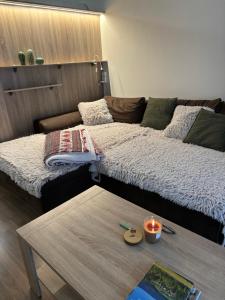 Postel nebo postele na pokoji v ubytování Apartmán Vratička Říčky v Orlických horách