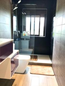 a bathroom with a toilet and a sink and a shower at Exclusivo Loft en Zaragoza-2 in Zaragoza