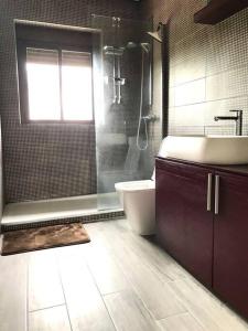 Ένα μπάνιο στο Exclusivo Loft en Zaragoza-1