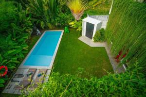 a small yard with a swimming pool in the grass at Lush 3 BR enclose living room next to Canggu beach in Canggu +4 photos