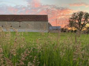 a field of tall grass with a building in the background at Villenouan domaine et gites in Lailly-en-Val