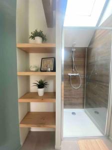 a bathroom with a shower with a glass door at Villenouan domaine et gites in Lailly-en-Val