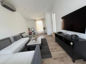un soggiorno con divano e TV a schermo piatto di Villa provençale avec piscine a Saint-Andiol