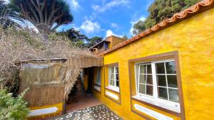 a yellow building with windows and a palm tree at Casita Mazo in Mazo