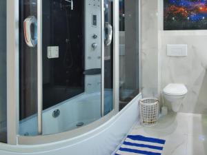 ジビジノにあるMuszelka pokoje i apartamentyのバスルーム(シャワー、トイレ付)