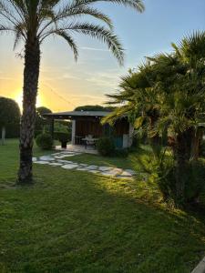 a house with a palm tree in the yard at CASA JOAN in Elche