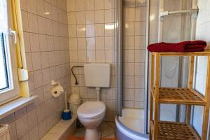 a small bathroom with a toilet and a shower at Ferienwohnung Landmannsruh in Lubmin