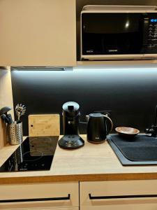 uma cozinha com micro-ondas e fogão forno superior em Studio Luxine - 2 personnes - Vue sur le Canal du Midi em Toulouse