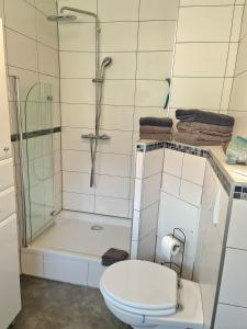 a bathroom with a shower and a toilet and a shower at Ferienwohnung Kespergarten in Witzenhausen