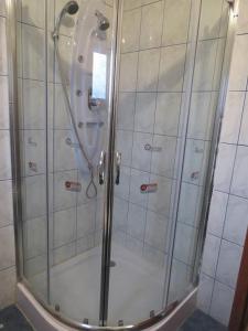a shower with a glass door in a bathroom at Cabaña en Dalcahue in Dalcahue