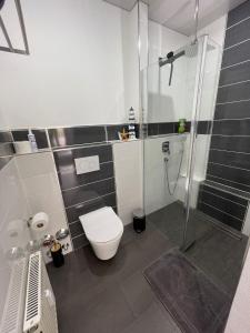 La salle de bains est pourvue de toilettes et d'une douche en verre. dans l'établissement Apartment Ari, à Trais-Horloff