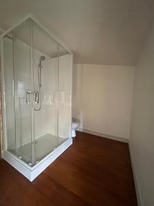 a bathroom with a glass shower with a toilet at La Maison des Chanoines in Verdun-sur-Meuse +13 photos