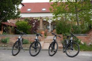 Jízda na kole v ubytování Hotel Lechowitz nebo okolí