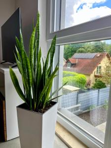 a potted plant sitting on a window sill at Modernes Apartment am Waldrand in Geisenheim