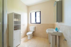 a bathroom with a white toilet and a sink at Dingle Bay Nest in Dingle +19 photos