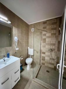 a bathroom with a shower and a toilet and a sink at Milea's Guesthouse in Bran