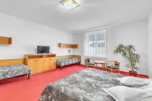 Posteľ alebo postele v izbe v ubytovaní Hotel Za Vodou