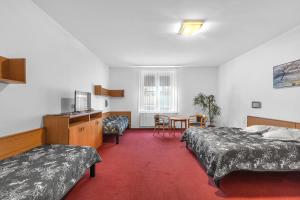 Posteľ alebo postele v izbe v ubytovaní Hotel Za Vodou