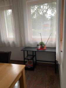 een tafel met twee planten voor een raam bij Mosaikhaus in Würselen