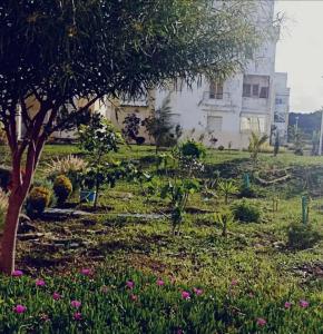 a garden in front of a house with flowers at Appartement à côté de la plage in Tangier +16 photos