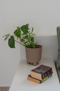a plant sitting on a table next to two books at Almira Studios in Kionia