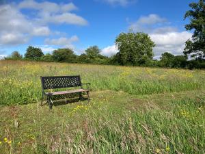 a bench sitting in the middle of a field at The Dragon's Hut with swimming pool in Wrexham