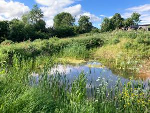 a pond in a field with tall grass at The Dragon's Hut with swimming pool in Wrexham