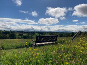 a bench sitting in the middle of a field of flowers at The Dragon's Hut with swimming pool in Wrexham