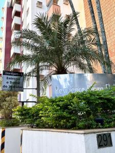 a street sign and a palm tree in front of a building at Plaza Flat in Ribeirão Preto