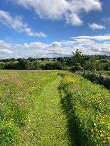 a path in a field with flowers and a sky at The Stable with swimming pool in Wrexham