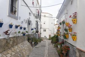 un callejón con macetas al lado de los edificios en Casa Plaza Alta, en Alcalá de los Gazules