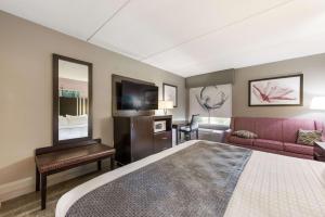 um quarto de hotel com uma cama, um sofá e uma televisão em Clarion Pointe Greensboro Airport em Greensboro