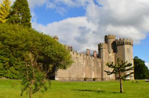 a castle with a tree in front of it at The Old Smiddy Cottage and Apartment in Balloch