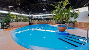 Ville Saint Laurent的住宿－Radisson Hotel Montreal Airport，蓝色的水和植物的大泳池