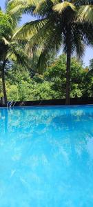 a large blue swimming pool with palm trees in the background at Hiranya Nature Retreat in Daulatābād +37 photos