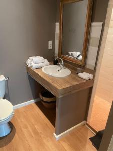bagno con lavandino, specchio e servizi igienici di Residence le Petit Paradis a Labastide-Rouairoux