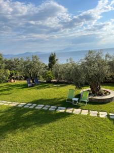 eine Gruppe von Stühlen, die im Gras in der Nähe des Ozeans sitzen in der Unterkunft Olive Tree Bay in Lefokastro