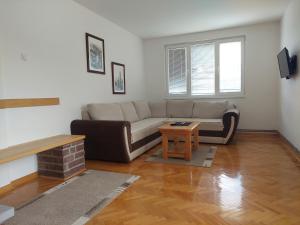 sala de estar con sofá y mesa en Apartmani Tarsko Jezero Nova Vezanja en Zaovine